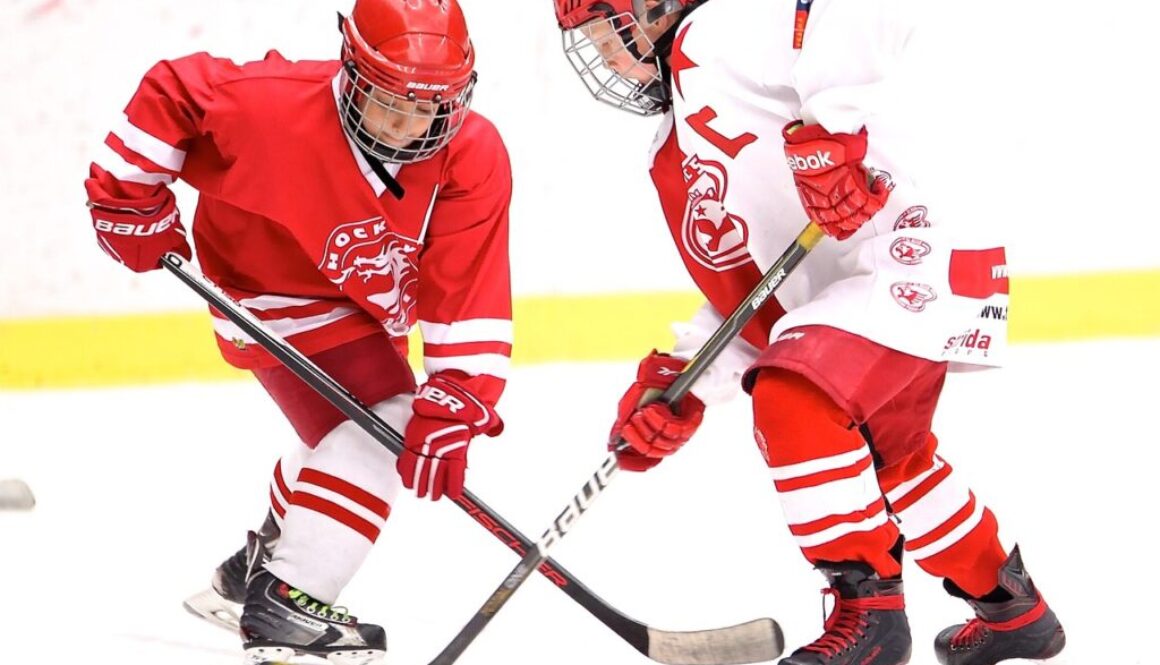 hockey captain puck hockey stick 2274219