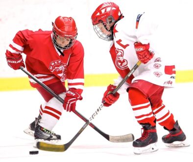 hockey captain puck hockey stick 2274219