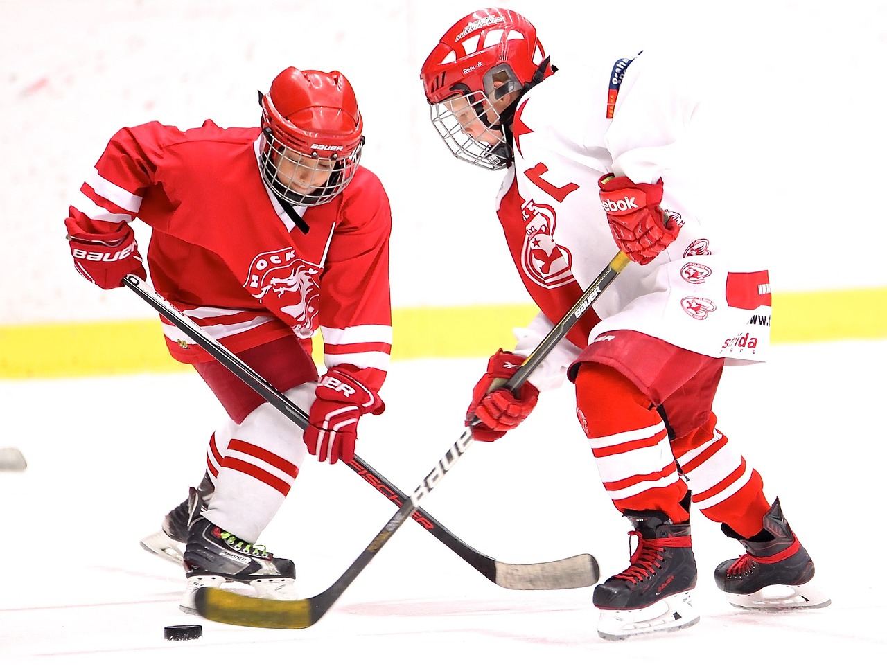 hockey captain puck hockey stick 2274219 hockey captain puck hockey stick 2274219