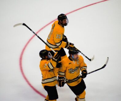 hockey ice hockey team yellow team 3913720