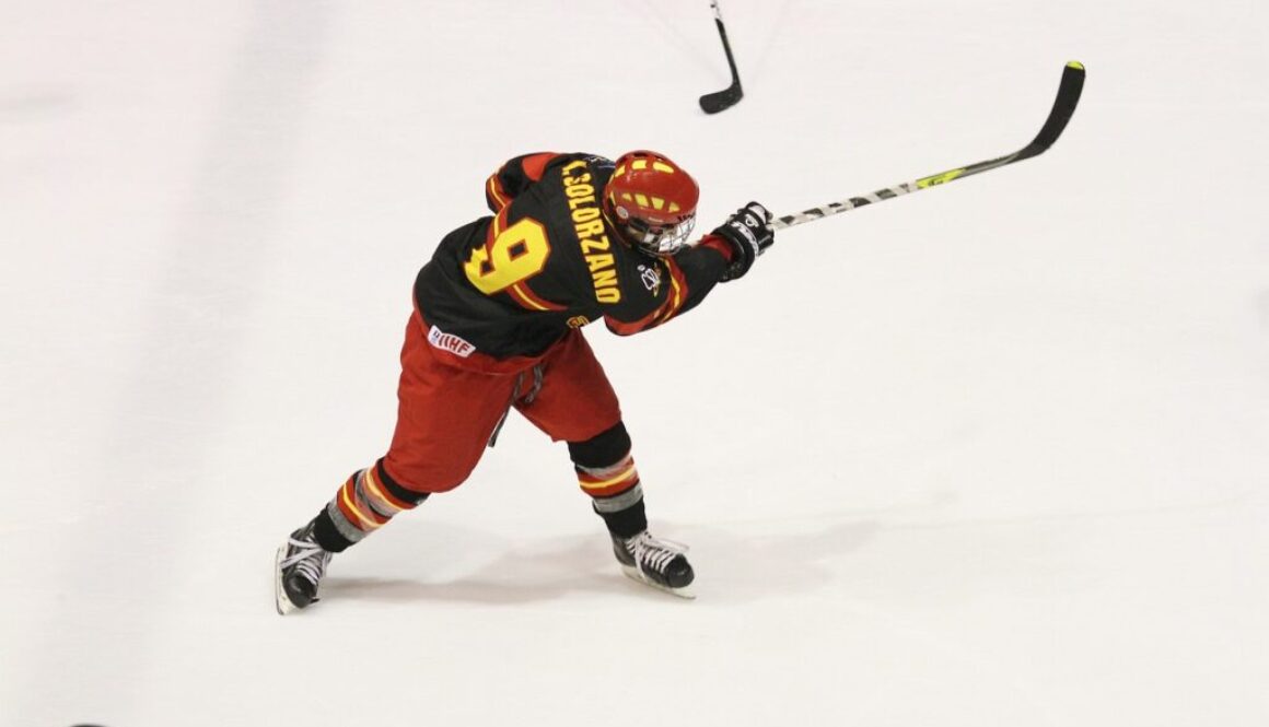 ice hockey winter sport ice player 263710