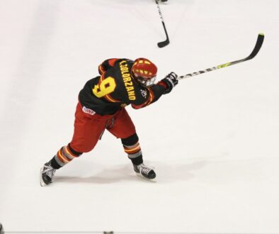 ice hockey winter sport ice player 263710