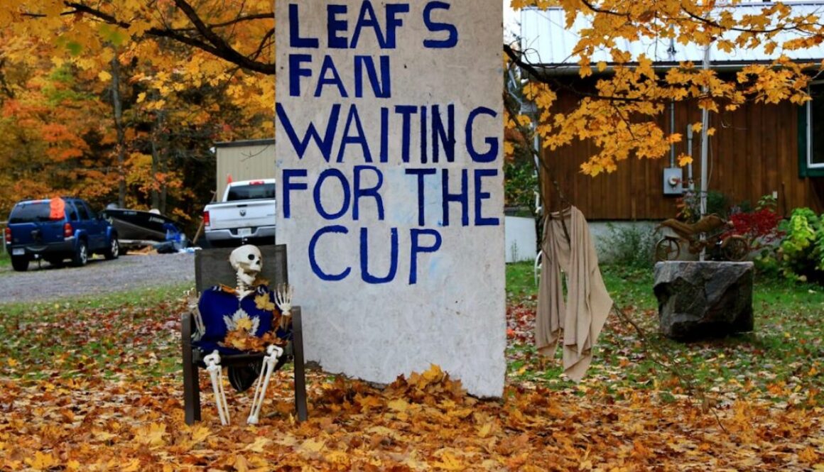 Hokej na lodzie w Polsce - gdzie oglądać mecze Tauron Hokej Ligi